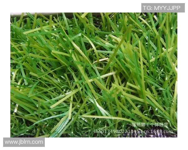 德甲球场草皮质量评估与维护建议研究报告